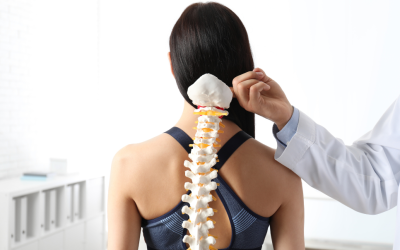 Strength Training and Spinal Health: A Chiropractor’s Guide