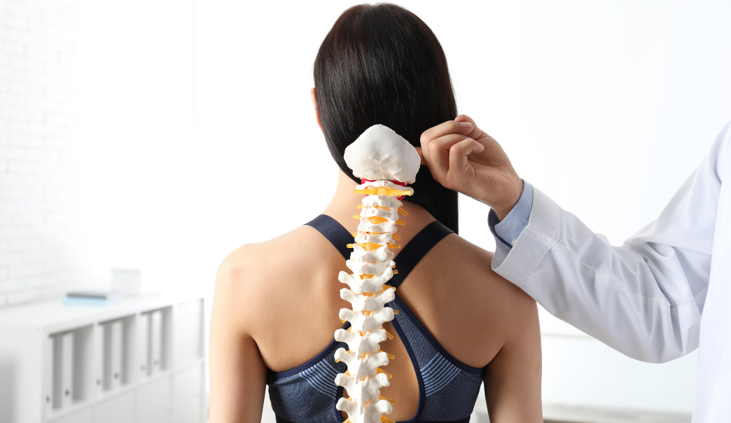 Strength Training and Spinal Health: A Chiropractor’s Guide