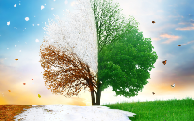 Seasonal Tips for Maintaining Spinal Health and Wellness