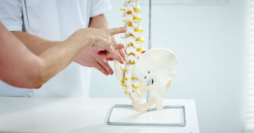 Chiropractic Care - Doctor pointing at spine 